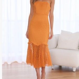 Brand New Hello Molly Dress